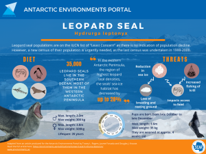 Infographic describing leopard seal article