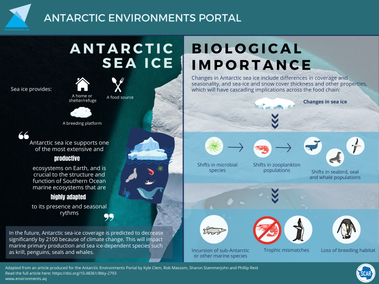 New publication on biological importance of Antarctic Sea Ice ...