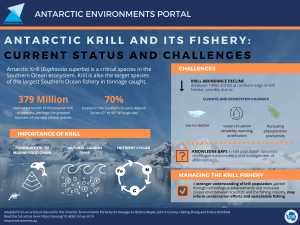 An infographic outlining the importance of krill in the Southern Ocean, the challenges facing krill and how the krill fishery can be managed to promote sustainability.