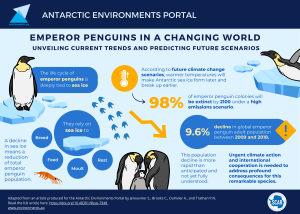 Infographic visualisation of emperor penguins article